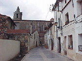 Palautordera
